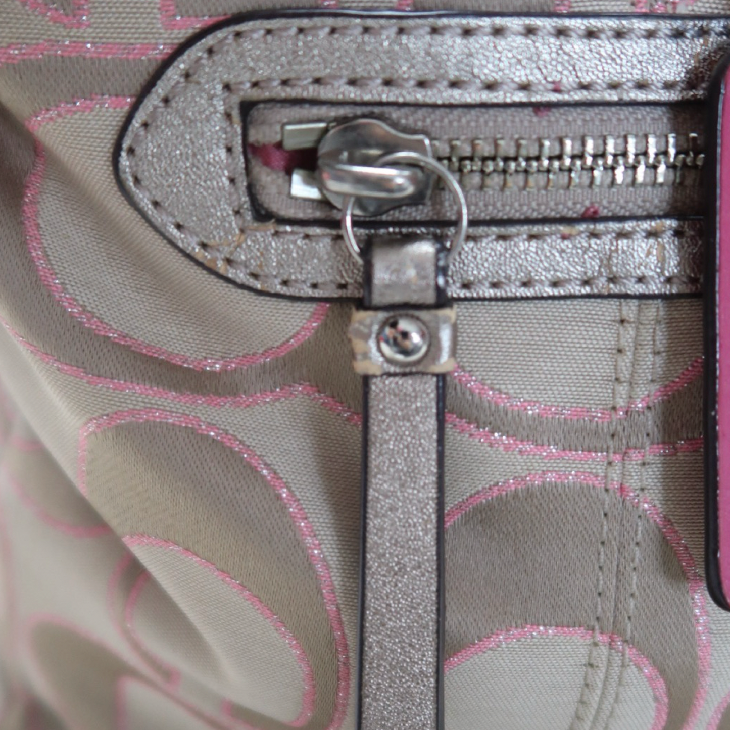 COACH DAISY OUTLINE SIGNATURE METALLIC EMMA TOTE - L
